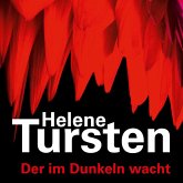 Der im Dunkeln wacht / Kriminalinspektorin Irene Huss Bd.9 (MP3-Download)