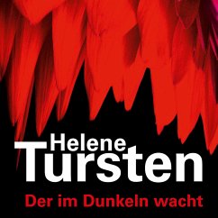 Der im Dunkeln wacht / Kriminalinspektorin Irene Huss Bd.9 (MP3-Download) - Tursten, Helene