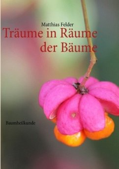 Träume in Räume der Bäume - Felder, Matthias