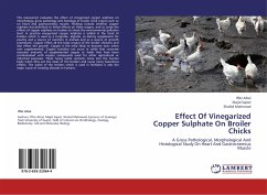 Effect Of Vinegarized Copper Sulphate On Broiler Chicks - Afzal, Iffat;Sajeel, Majid;Mahmood, Shahid