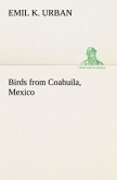 Birds from Coahuila, Mexico