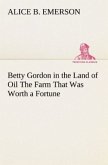 Betty Gordon in the Land of Oil The Farm That Was Worth a Fortune