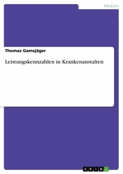 Cover Leistungskennzahlen in Krankenanstalten