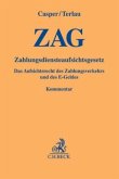 ZAG, Zahlungsdiensteaufsichtsgesetz, Kommentar