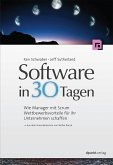 Software in 30 Tagen