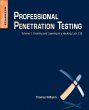 Professional Penetration Testing - Bild 1