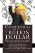 Opportunities in the TRILLION DOLLAR... - Bild 1