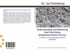 Understanding and Mastering Coal Fired Ashes Geopolymerisation Process