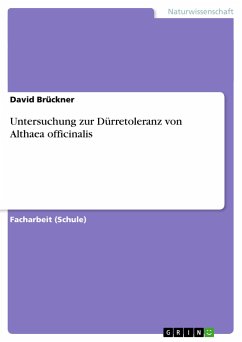 Untersuchung zur Dürretoleranz von Althaea officinalis - Brückner, David