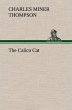 The Calico Cat - Bild 1