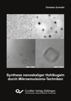 Synthese nanoskaliger Hohlkugeln durch Mikroemulsions-Techniken - Zurmühl, Christian