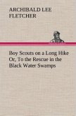 Boy Scouts on a Long Hike Or, To the Rescue in the Black Water Swamps