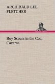 Boy Scouts in the Coal Caverns