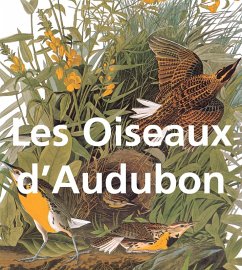 Les Oiseaux d'Audubon (eBook, PDF) - Audubon, John James