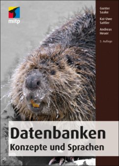 Datenbanken - Konzepte und Sprachen - Saake, Gunter; Sattler, Kai-Uwe; Heuer, Andreas