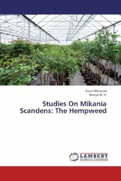 Studies On Mikania Scandens: The Hempweed - Maranad, Sajan;M. R., Remya