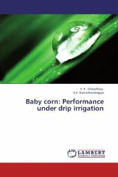 Baby corn: Performance under drip irrigation