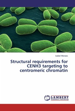 Structural requirements for CENH3 targeting to centromeric chromatin