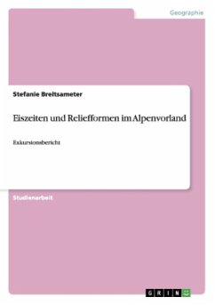 Eiszeiten und Reliefformen im Alpenvorland - Breitsameter, Stefanie