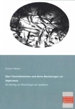 Über Fäulnisbakterien und deren Beziehungen zur Septicämie - Hauser, Gustav