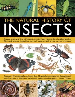 Natural History of Insects - Walters, Martin