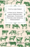 Cattle and Sheep - A Practical Manual about Breeds and Breeding, Foods and Feeding and General Management