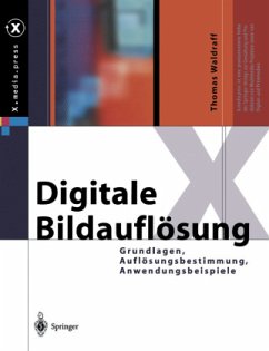 Digitale Bildauflösung - Waldraff, Thomas