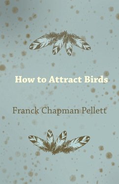 How to Attract Birds
