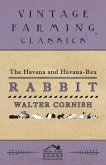 The Havana and Havana-Rex Rabbit