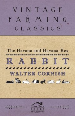 The Havana and Havana-Rex Rabbit - Cornish, Walter