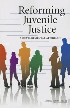 Reforming Juvenile Justice - National Research Council; Division of Behavioral and Social Sciences and Education; Committee On Law And Justice; Committee on Assessing Juvenile Justice Reform