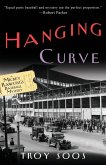 The Hanging Curve