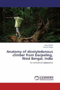 Anatomy of dicotyledonous climber from Darjeeling, West Bengal, India