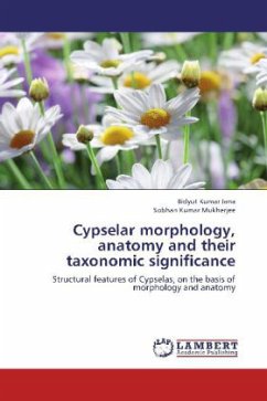 Cypselar morphology, anatomy and their taxonomic significance