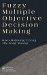 Fuzzy Multiple Objective Decision Making - Bild 1