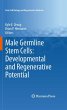Male Germline Stem Cells: Developmental... - Bild 1