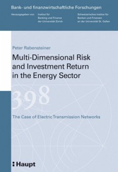 Multi-Dimensional Risk and Investment Return in the Energy Sector - Rabensteiner, Peter