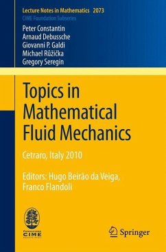 Topics in Mathematical Fluid Mechanics - Constantin, Peter; Debussche, Arnaud; Galdi, Giovanni P.; R¿¿i¿ka, Michael; Seregin, Gregory