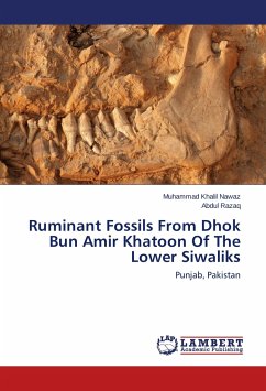 Ruminant Fossils From Dhok Bun Amir Khatoon Of The Lower Siwaliks