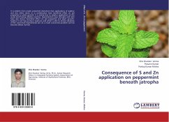 Consequence of S and Zn application on peppermint beneath jatropha - Verma, Shiv Shanker;Kumar, Prasann;Mishra, Pankaj Kumar