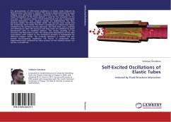 Self-Excited Oscillations of Elastic Tubes - Stembera, Vílezslav