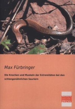 Die Knochen und Muskeln der Extremitäten bei den schlangenähnlichen Sauriern