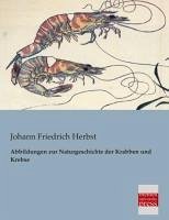 Abbildungen zur Naturgeschichte der Krabben und Krebse - Herbst, Johann Friedrich