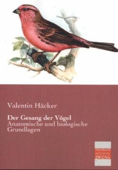 Der Gesang der Vögel - Häcker, Valentin