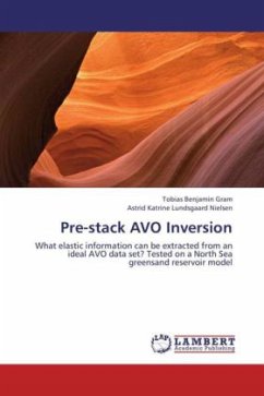 Pre-stack AVO Inversion - Gram, Tobias Benjamin;Nielsen, Astrid Katrine Lundsgaard