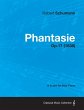 Phantasie - A Score for Solo Piano... - Bild 1