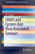 EBNA1 and Epstein-Barr Virus Associated... - Bild 1