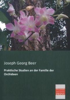 Praktische Studien an der Familie der Orchideen - Beer, Joseph G.