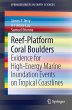 Reef-Platform Coral Boulders - Bild 1