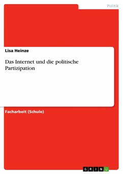 Das Internet und die politische Partizipation - Heinze, Lisa